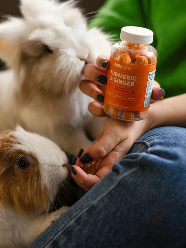 pexels-jellybee-45758002-7883514 pexels-jellybee-45758002-7883514